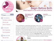 Tablet Screenshot of beginbeforebirth.org